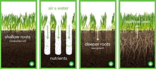 Lawn aeration diagram